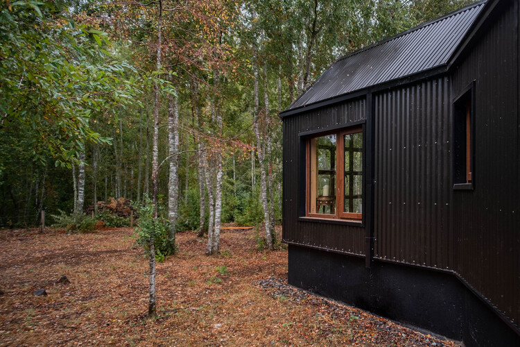 Hachi Cabin / Medio Arquitectura - Наружная фотография, Окна, Лес