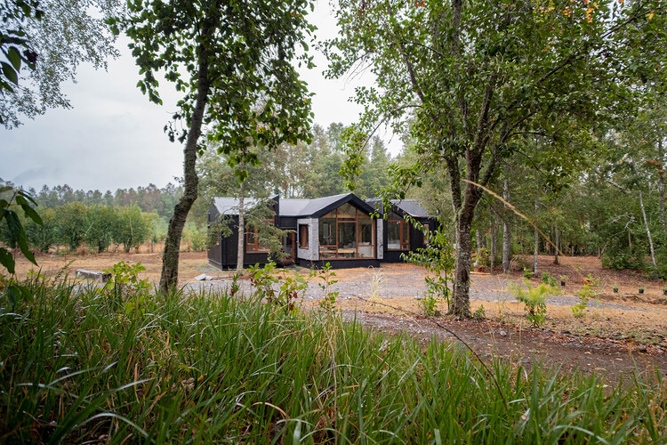 Hachi Cabin / Medio Arquitectura - Наружная фотография, Окна, Лес