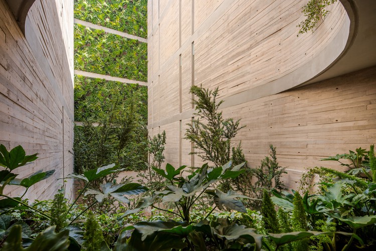 MO288 Жилой дом / MARCOS HAGERMAN / HGR ARQUITECTOS - Экстерьерная фотография, окна, сад, лес