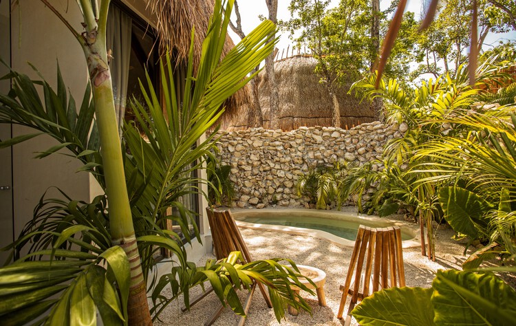 Hotel Muaré / Taller de Arquitectura Viva - Интерьерная фотография, Стул, Сад, Внутренний двор, Лес