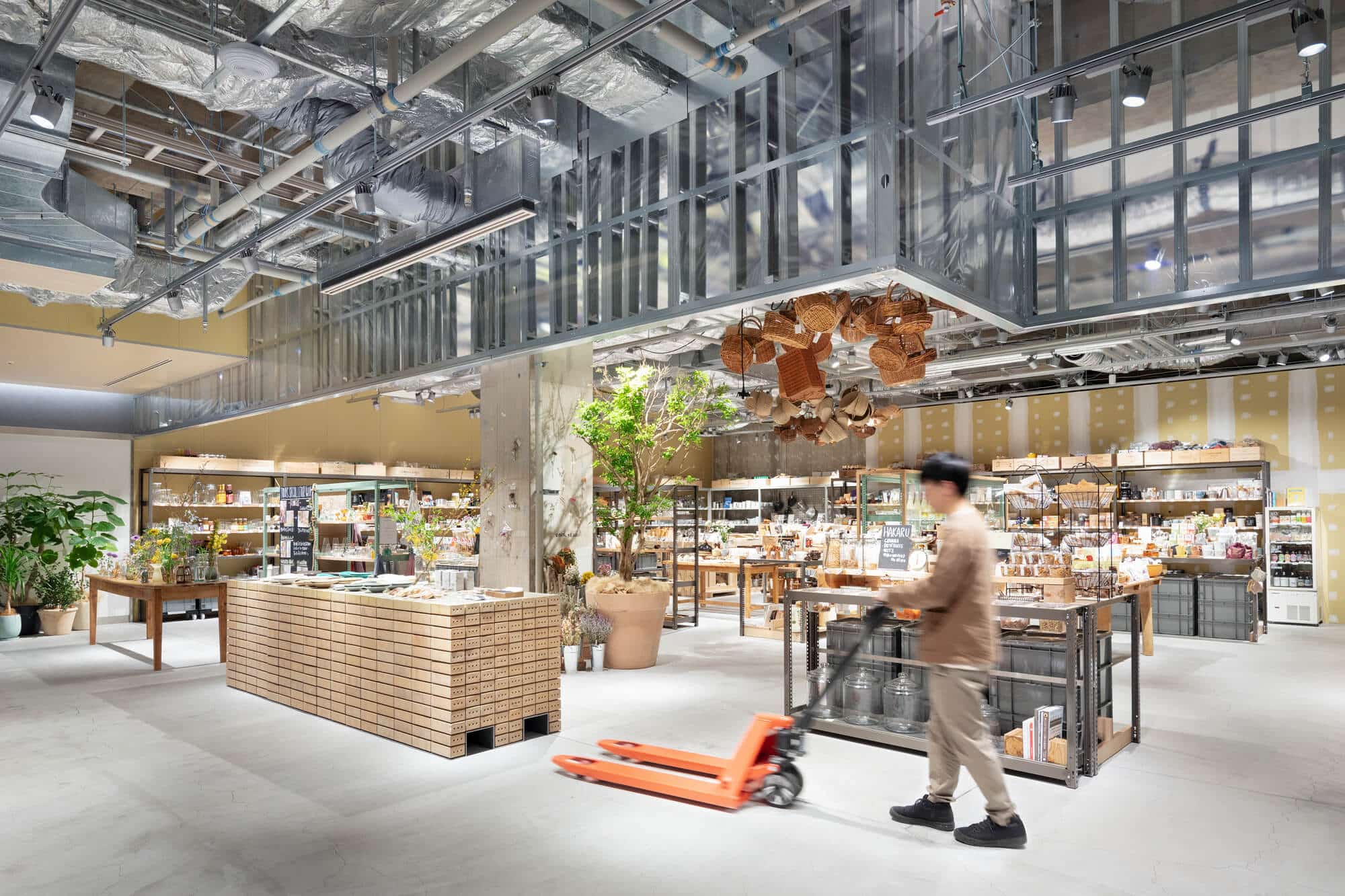 СПЕЦИАЛЬНЫЙ СЕГОДНЯ Магазин Ebisu / Schemata Architects + Джо Нагасака