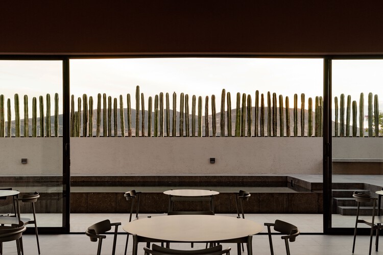 Hull Mexico Park Clubhouse / MXTAD - Интерьерная фотография, стол, стул