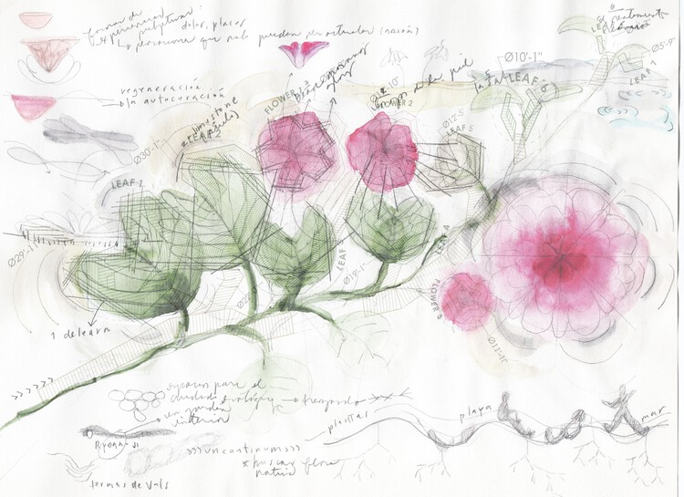 Инсталляция Morning Glory / Paula de Solminihac + Vicente Donoso — изображение 11 из 19