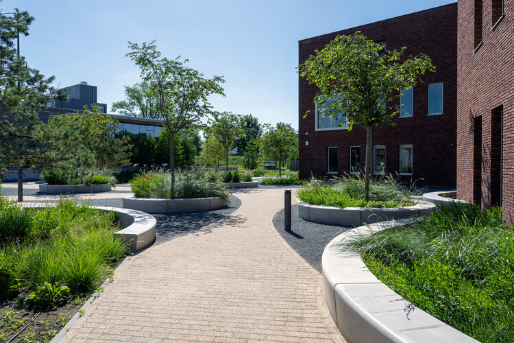 Brainport Human Campus: The Atelier / The Dutch Wave + Hal2 Projects - Наружная фотография, Окна, Сад