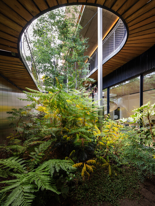 Дом Эрнандеса / Langarita Navarro Arquitectos - Наружная фотография, Сад, Лес