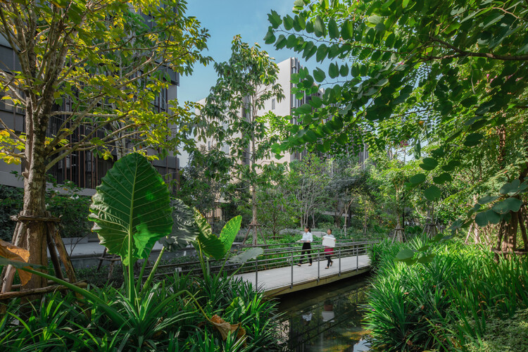 Jin Wellbeing County / Shma Company Limited - Экстерьерная фотография, лес, сад