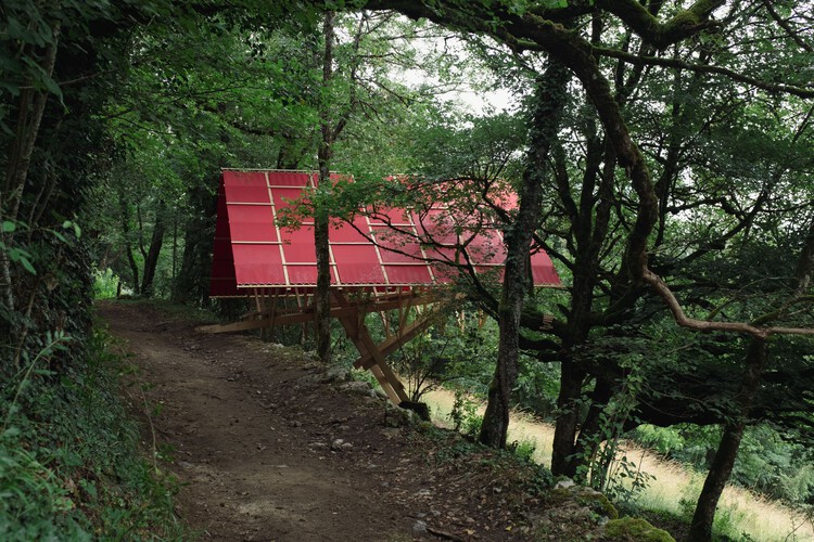 Patagonian Shadow Pavilion / DRAA - Наружная фотография, Окна, Лес, Сад