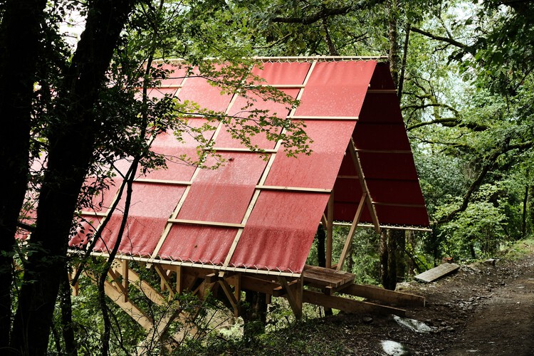 Patagonian Shadow Pavilion / DRAA - Наружная фотография, Окна, Лес