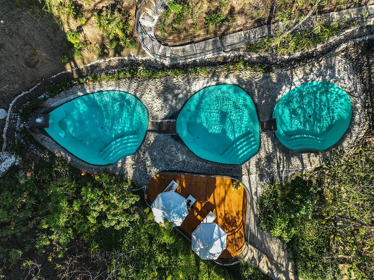 Suiteree Experience Hotel / Studio Saxe - Экстерьерная фотография, Лес