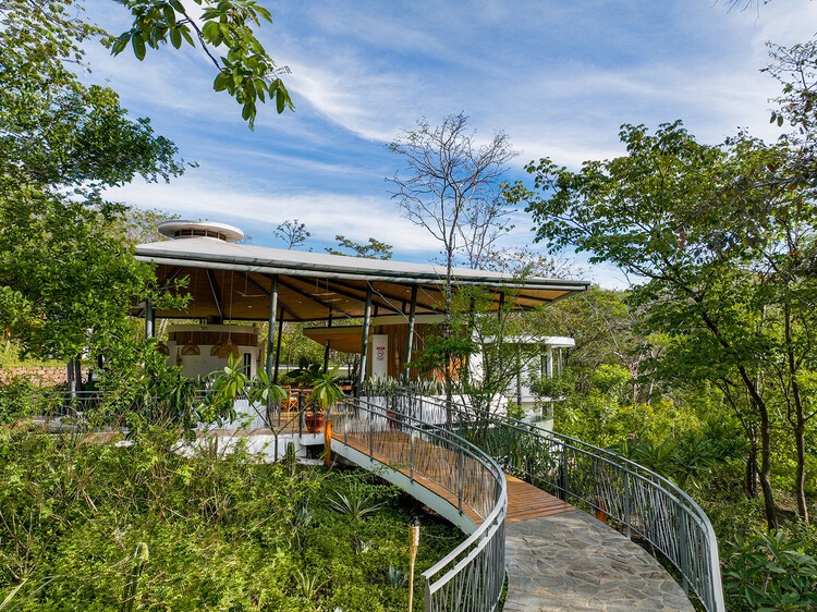 Suiteree Experience Hotel / Studio Saxe - Экстерьерная фотография, Лестница, Лес, Сад