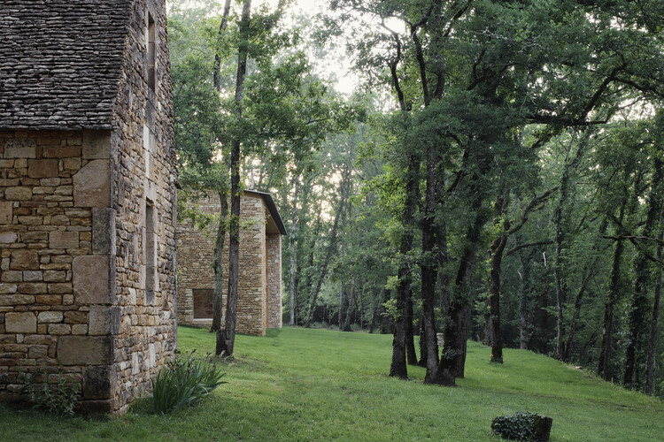 Гостевой дом в дубовой роще / SAPIENS ARCHITECTES - Экстерьерная фотография, Окна, Лес