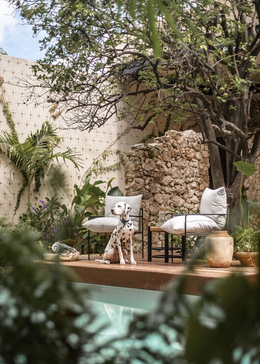 Pakaal House / Workshop, Diseño y Construcción - Наружная фотография, Сад