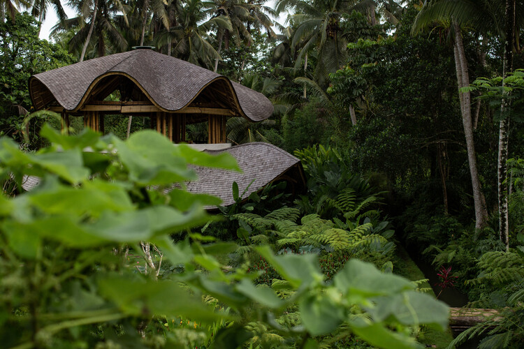 Yoga & Spa Ubud / Pablo Luna Studio - Экстерьерная фотография, Окна, Лес, Сад