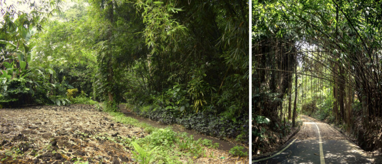 Руководство по началу проекта по строительству бамбука — изображение 2 из 7