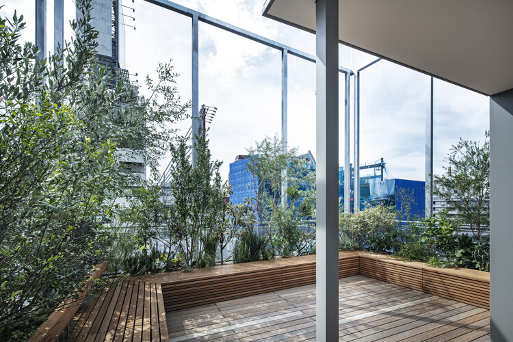 Goldwin Harajuku Building / Studio Hashimura - Экстерьерная фотография, Фасад, Палуба