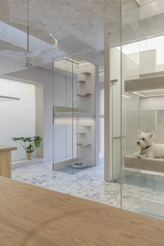 Paw Pets Spa / Office AIO - Интерьерная фотография