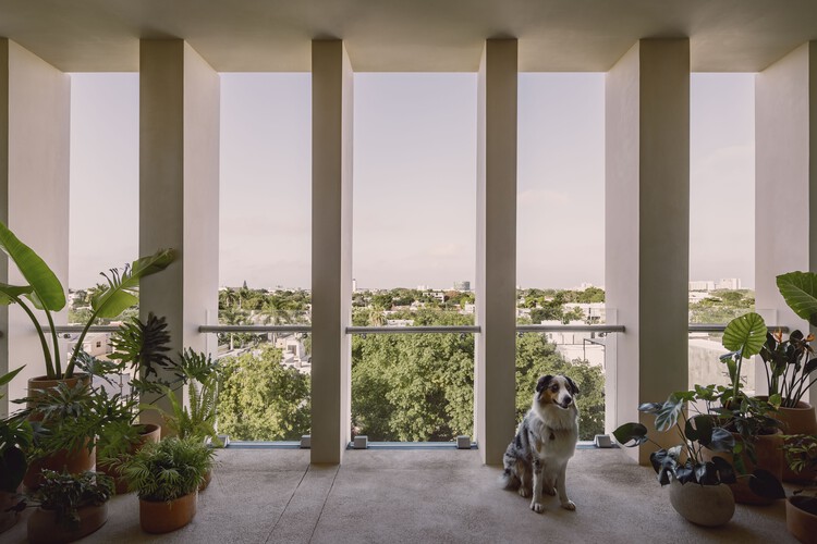 Manté Apartments / Esencial Studio - Интерьерная фотосъемка, окна, дверь