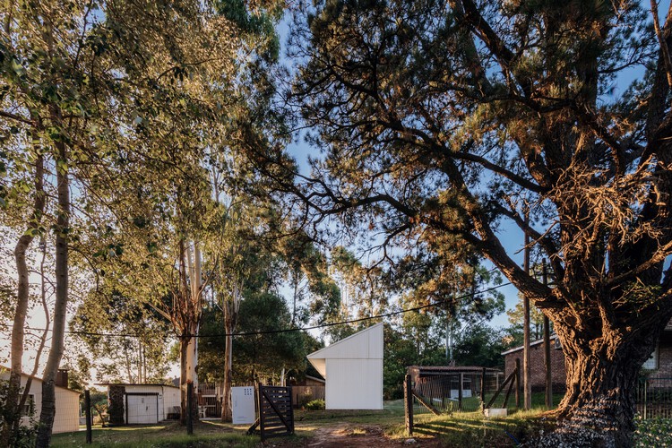 Playa Hermosa Refuge / bercetche estudio - Экстерьерная фотография, Лес