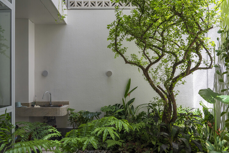 Secret Garden House / ROOM+ Design & Build - Экстерьерная фотография, сад