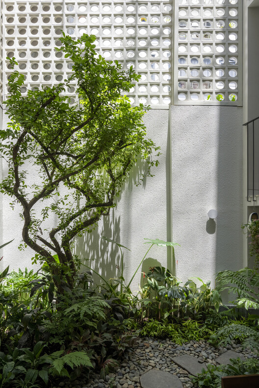 Secret Garden House / ROOM+ Design & Build - Экстерьерная фотография, сад