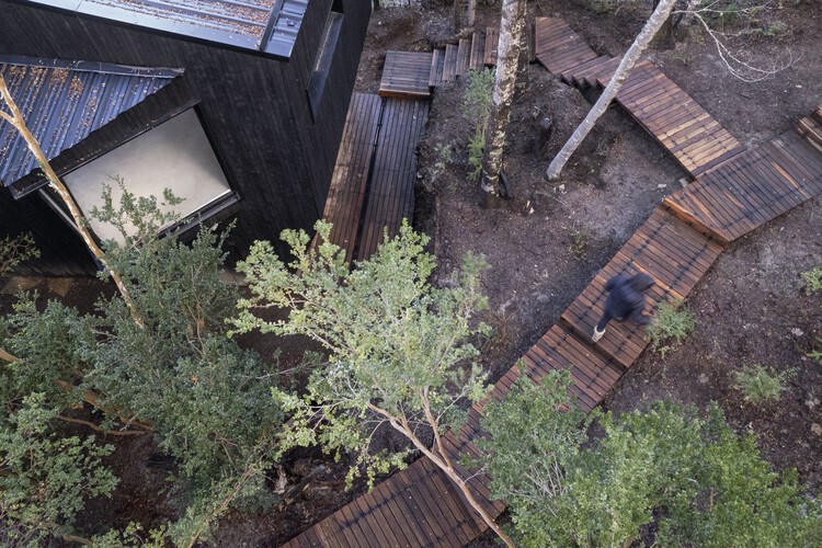 Gallareta House / OJA (органическая и радостная архитектура) – фотография экстерьера, сад
