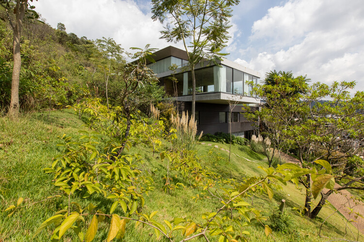 EG House / Play Arquitetura - Фотография экстерьера, окна, лес, сад