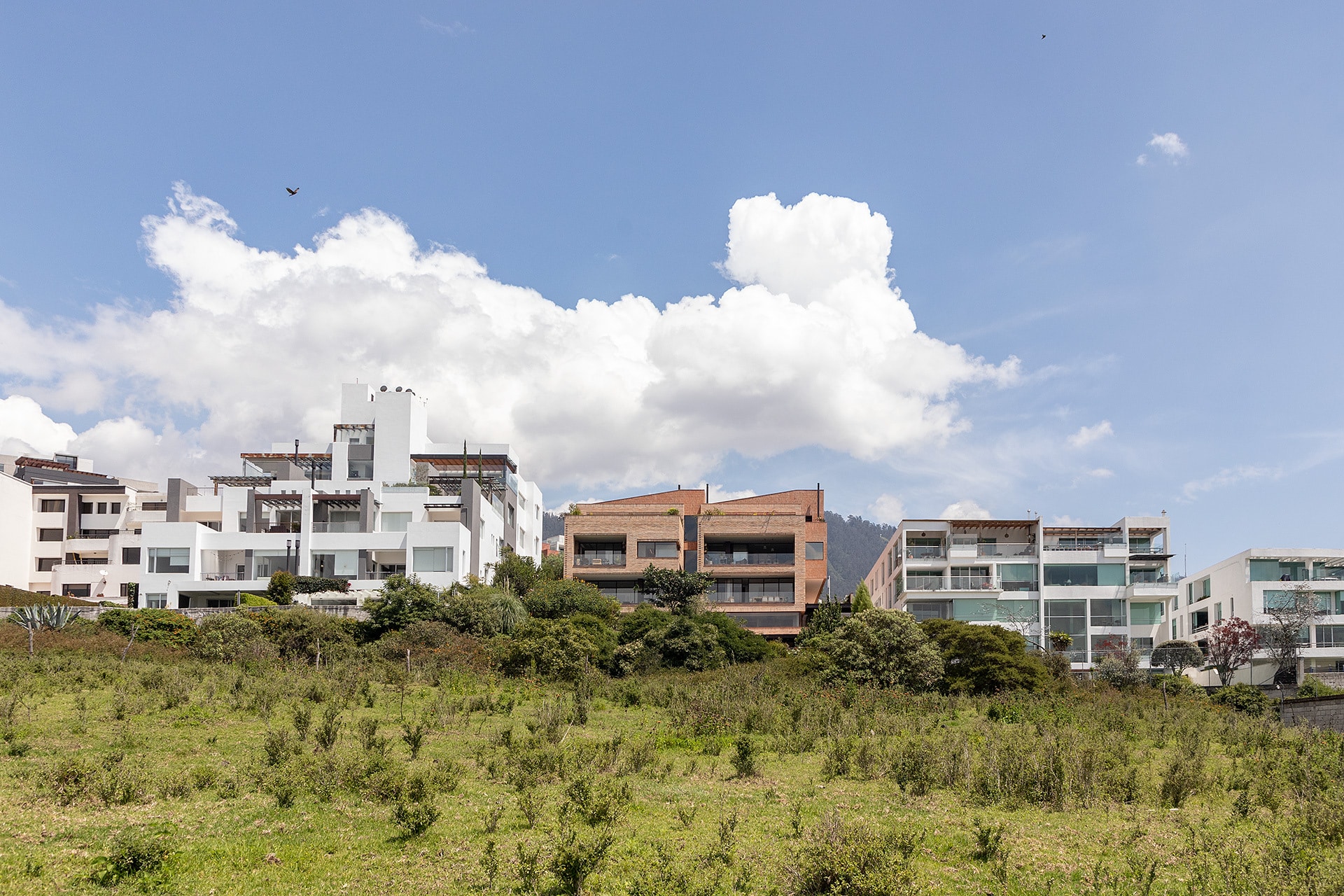 Апартаменты Bonica / Diez + Muller Arquitectos + Arq. Альваро Борреро