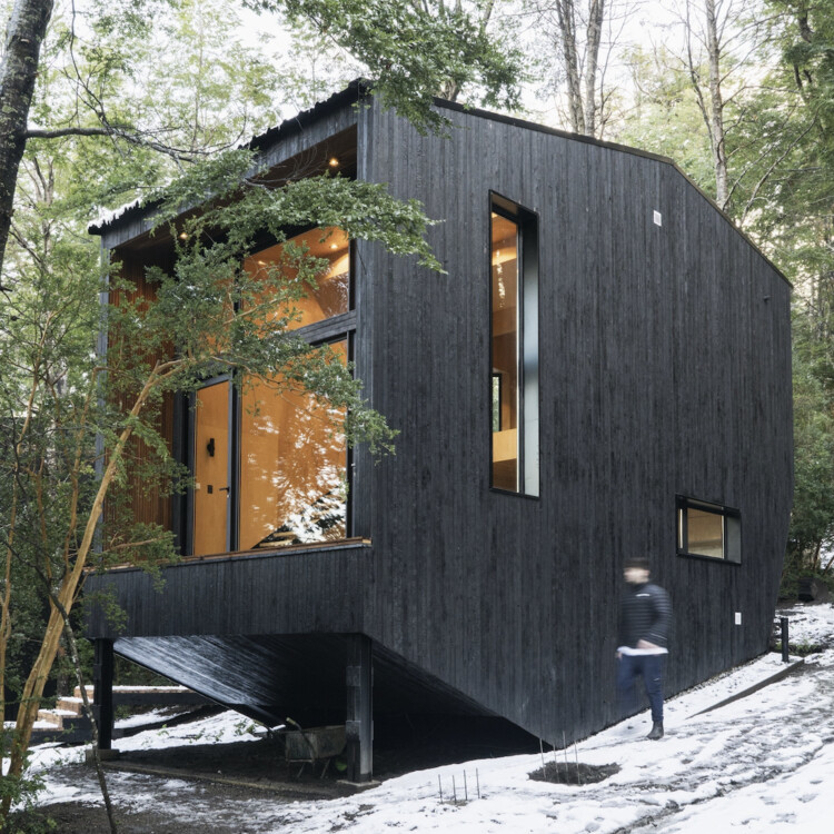 Gallareta House / OJA (органическая и радостная архитектура) - фотография экстерьера, окна, фасад