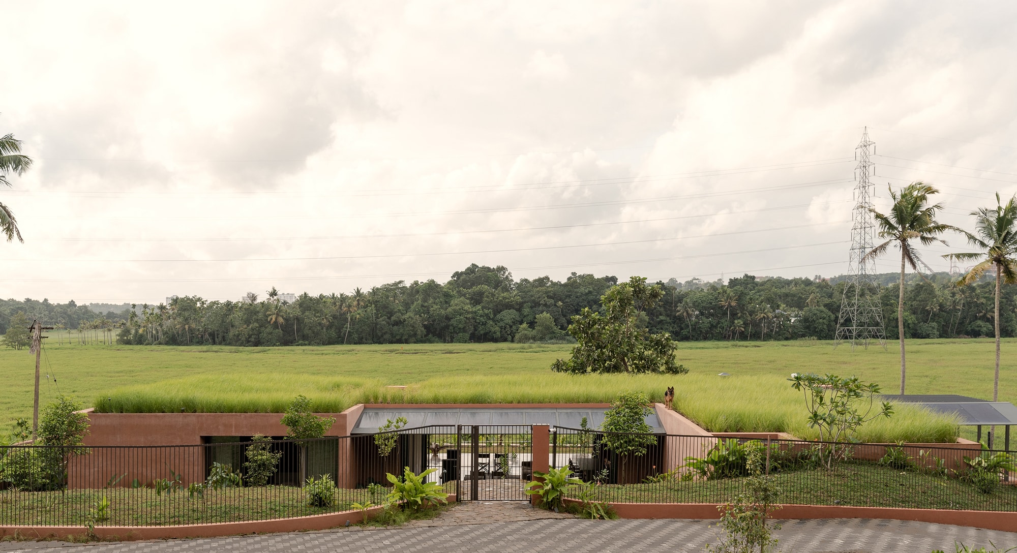 Alarine Earth Home / Zarine Jamshedji Architects