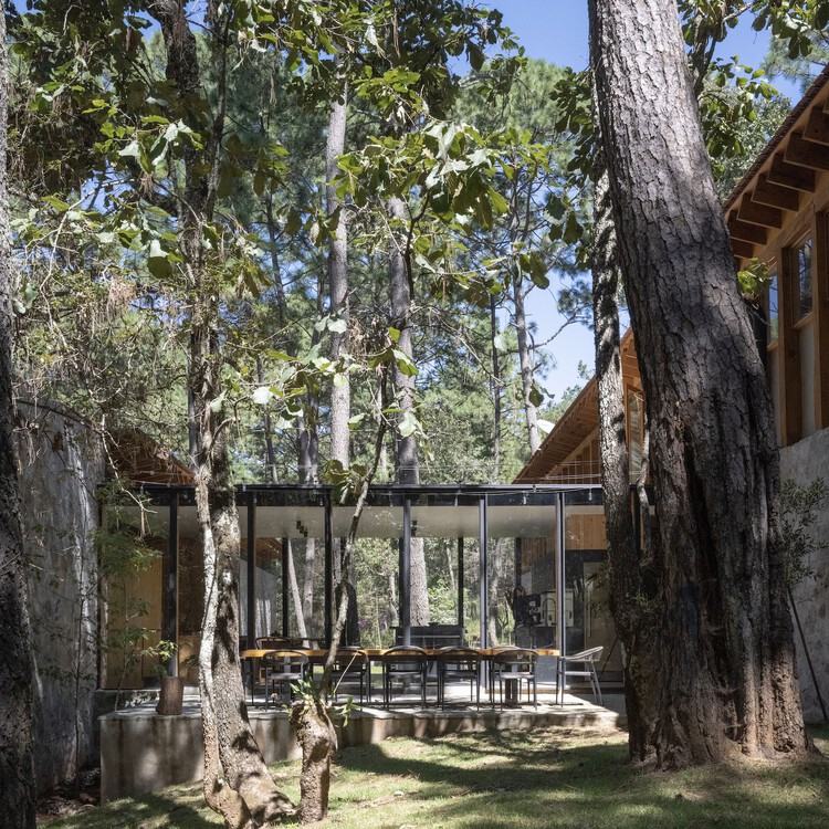 R&R House / Alvaro Moragrega / arquitecto - Фотография экстерьера, окна, лес