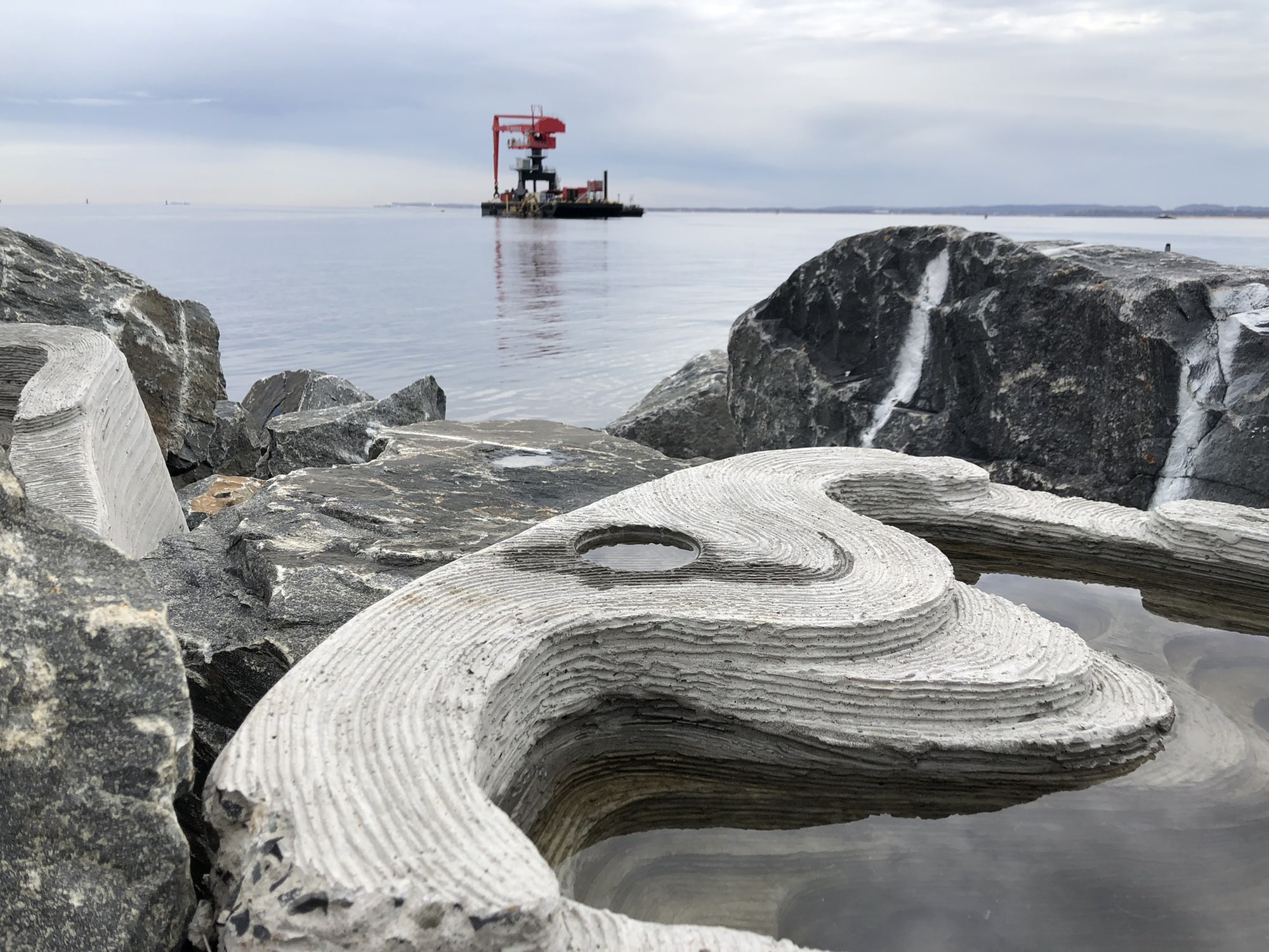 «Живые волнорезы» от SCAPE Landscape Architecture получили премию Obel 2023