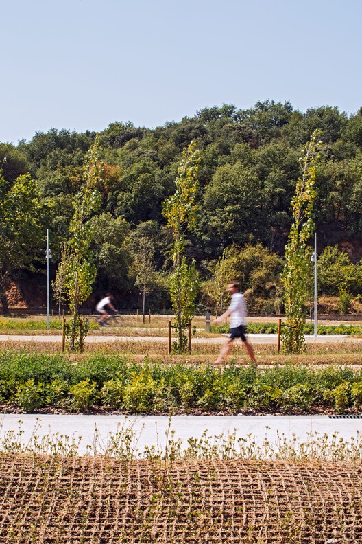 Parque Montornés Norte: Regeneración Urbana / Hiha Studio - Экстерьерная фотография, сад, лес