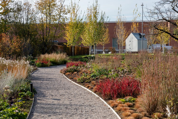 Vitra Oudolf Garden / Piet Oudolf - Экстерьерная фотография, Лес, Сад