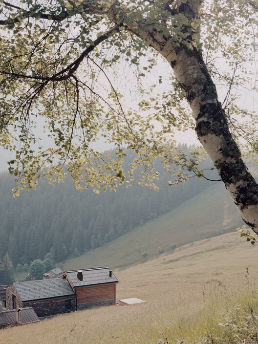 Хижина Байтридана / Ринальдо Дель Неро - Экстерьерная фотография, Лес