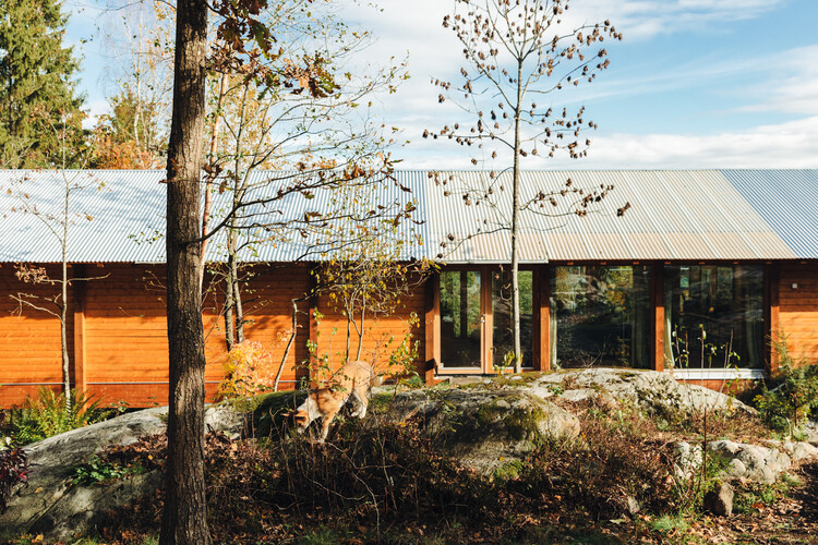 Дом на столбах / Sanden+Hodnekvam Architects - Фотография экстерьера, окна, лес