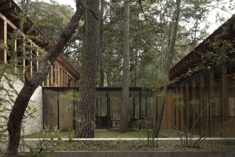 R&R House / Альваро Морагрега / arquitecto - Фотография экстерьера, лес