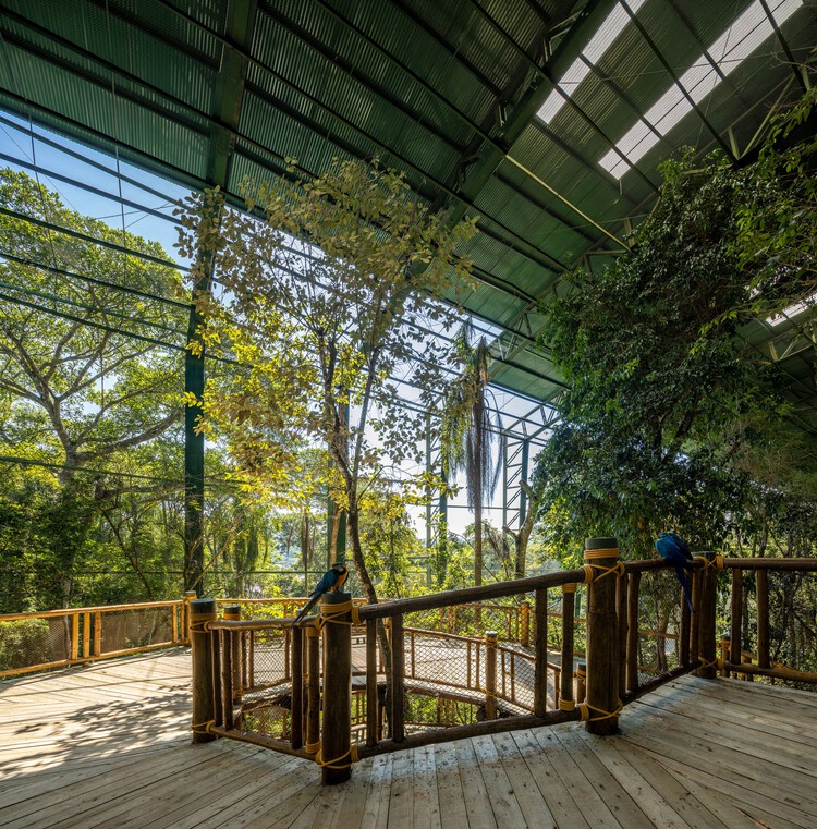 Иммерсивный виварий в биопарке Animália / AM2 ARQUITETURA - Экстерьерная фотография, Лес, Балка, Перила, Сад, Терраса