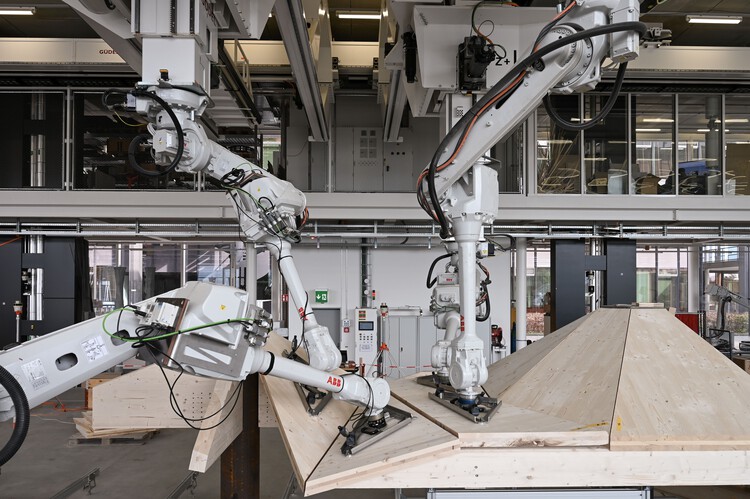Установка Семирамиды / Исследования Грамазио Колера + ETH Zürich + Müller Illien Landschaftsarchitekten + Timbatec Timber Construction Engineers Швейцария + Urban Assets Zug AG – Фотография интерьера, балка