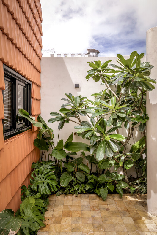 Nhà Voi 7 ​​Gardens House / студия DA VÀNG - Фотография экстерьера, окна