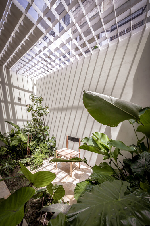 Nhà Voi 7 ​​Gardens House / студия DA VÀNG - Фотография интерьера, сад