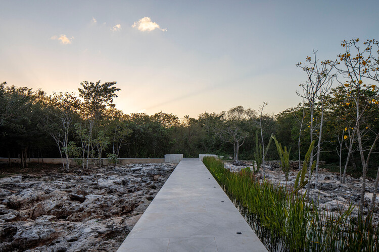 CY Country Houses / reyesrios+larraín arquitectos - Экстерьерная фотография, сад, лес