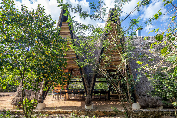 CY Country Houses / reyesrios+larraín arquitectos - Экстерьерная фотография, окна, лес, сад
