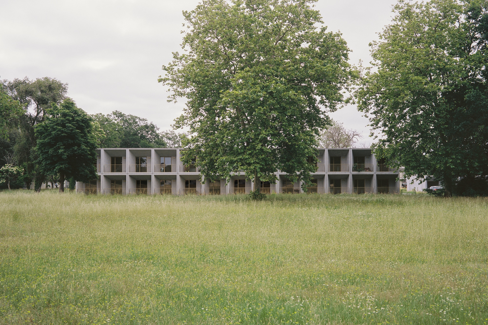 ESID BCC Housing / Faye Architects & Associes