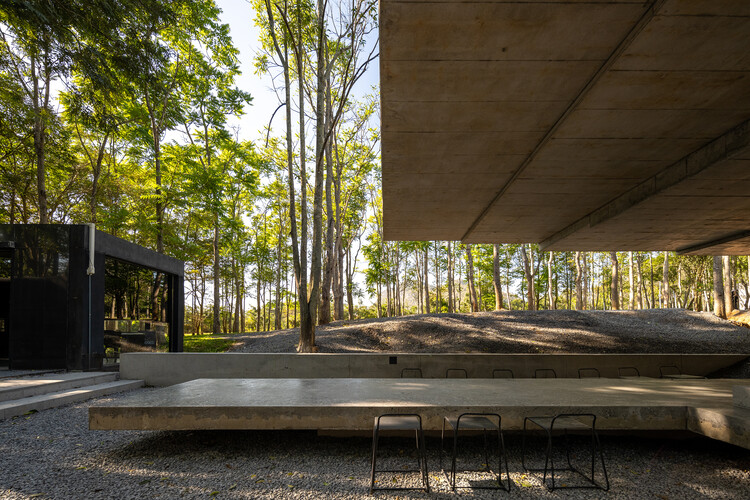 Yellow-Mini Café / JOYS Architects - Экстерьерная фотография, Лес