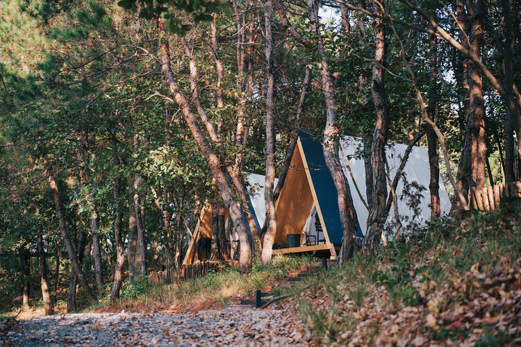Ароматное озеро•Wiki World Natural Camp / Wiki World - Фотография экстерьера, Лес