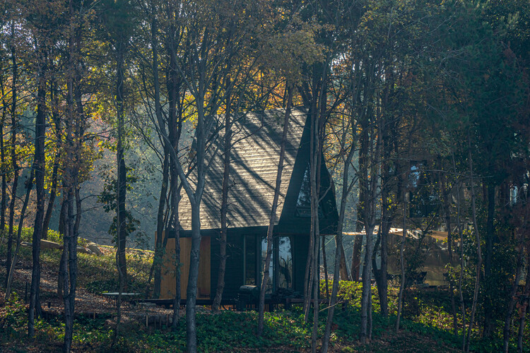 Ароматное озеро•Wiki World Natural Camp / Wiki World - Фотография экстерьера, Лес