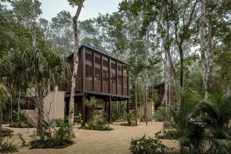 Boca de Agua Hotel / Frida Escobedo - Фотография экстерьера, окна, лес