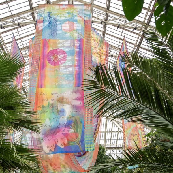 Выставка Kew Gardens демонстрирует странную природу в викторианской теплице