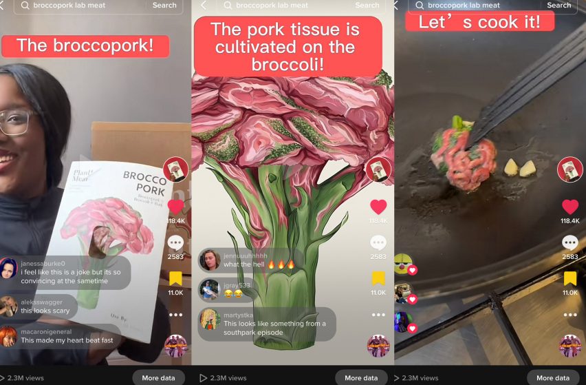 Мясистые тетушки в TikTok