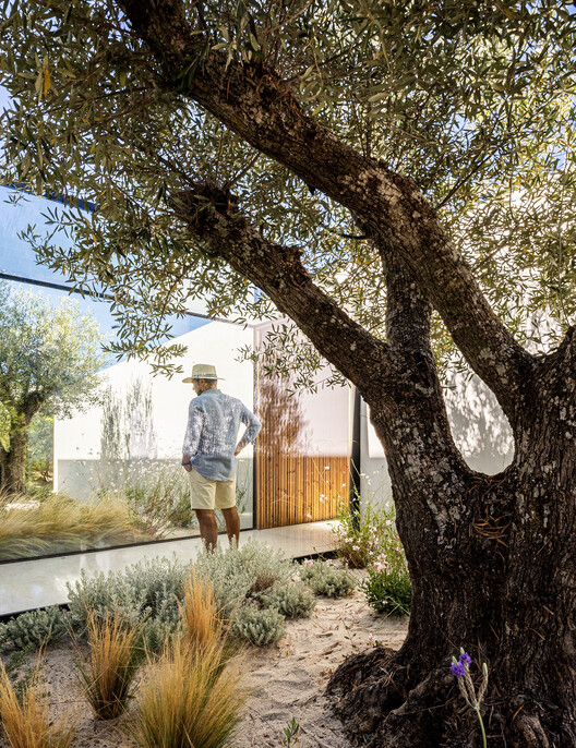 Дом Comporta 107 / dEMM Arquitectura - Экстерьерная фотография, Лес, Сад